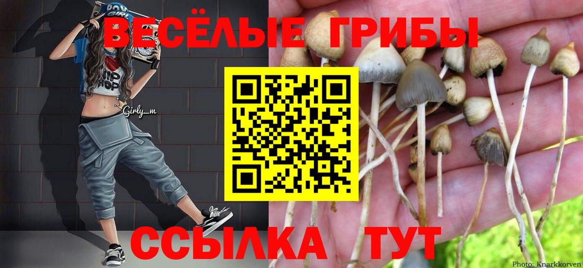Псилоцибиновые грибы Magic Shrooms  Вход с VPN  Лесной 